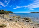 Camp Peskera Mobilehome Premium Pet Friendly