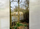 Ferienhaus Conny´s Kajüte