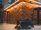 Ferienhaus Guck in den Stall