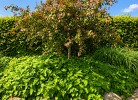 Ferienhaus 'Ausblick' in Wackerballig