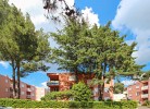 Apartment Senka