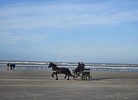 Strandloft 23 Ameland