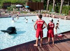 Feriendorf Orbetello Lodge Superior Family