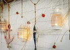Ferienhaus Boje by Seeblick Ferien ORO, erste Wasserreihe, Kamin, 7Pers