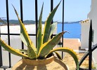A3015 Apartment Cala Fornells