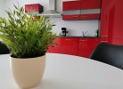 Ferienglück Gornsdorf  moderne FeWo