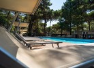 Sole Family Camping Village Lodge Superior Dog