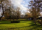 Inselblume 84 - Ferienhaus 'Reethus' mit Reetdach in Ostermarkelsdorf