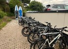 Prinz Hamlet App. 133 Pelzerhaken