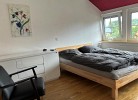 Kiebitznest