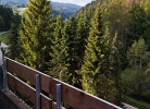 Fereinwohnung Tannenblick mit 2 Balkonen und Hallenbad - Mein Schwarzwaldhäusle