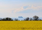 Fewo Strandnähe