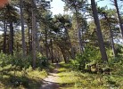 Ferienwohnung Nordsee, Swatten Diek 35, Sahlenburg, kleine Hunde auf Anfrage
