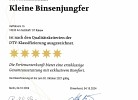 Haus 16 - Kleine Binsenjungfer