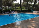 Sole Family Camping Village Lodge Superior Dog