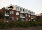 Vogelsand 348
