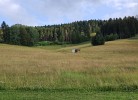 Ferienwohnung Seeblick mit Balkon - Mein Schwarzwaldhäusle