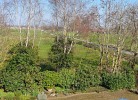 FeWo Deichblick OG am Jadebusen/Nordseeküste