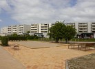 Inselblume 87 - Bungalow im Dünenweg am Meer auf Fehmarn