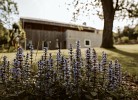 Ferienhaus TierbachLodge