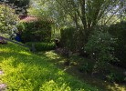 Inselblume 68 - Ferienwohnung bei Burgstaaken auf Fehmarn
