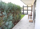 Ferienwohnung Albrecht