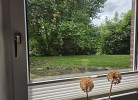 Moderne Ferienwohnung an der Treene
