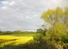 Ferienhaus mit Naturgarten