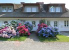 Haus Ruusenhoog - im beschaulichen Braderup