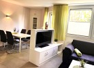Seemöwe 2