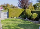 Inselblume 38 - Zentrale Ferienwohnung in Burg mit Garten