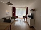 Oasis 10