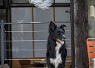 Ferienwohnung  ScheunenRefugio