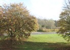 Ferienwohnung F237 an der Ostsee
