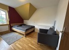 Kiebitznest