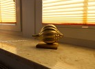 Inselblume 25 - Ferienwohnung von Privat in Meeschendorf