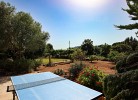H293 Finca Tia in Pollenca