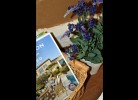 Ferienwohnung Romantique Radebeul