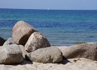 Fewo Waldblick 1