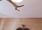 5-Sterne Ferienwohnung Edelweiß „Ihr uriges Alpenglück mit 5-Sterne-Komfort“