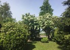 Bootshaus/ Holzdeck