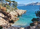Dorcic 2