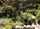 Ferienhaus Friederike