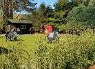 Kogge 09