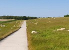 FeWo Deichblick OG am Jadebusen/Nordseeküste