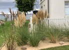 Traumferienhaus Sliminde by Seeblick Ferien, direkte Wasserlage, Vollausstattung, E-Ladesäule