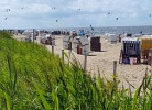 Ferienwohnung Nordsee, Swatten Diek 35, Sahlenburg, kleine Hunde auf Anfrage