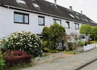 Herzmuschel