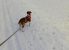 NEU! Ferienwohnung Schwarzenberg