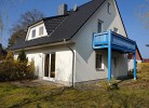 Blaumeise